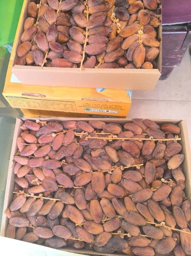 Dattes naturelles – Carton 5 kg