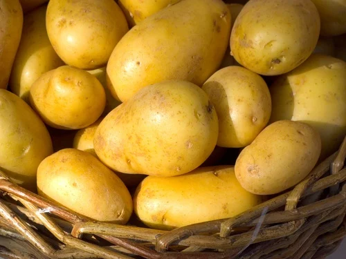 Pomme de terre importée – au kg